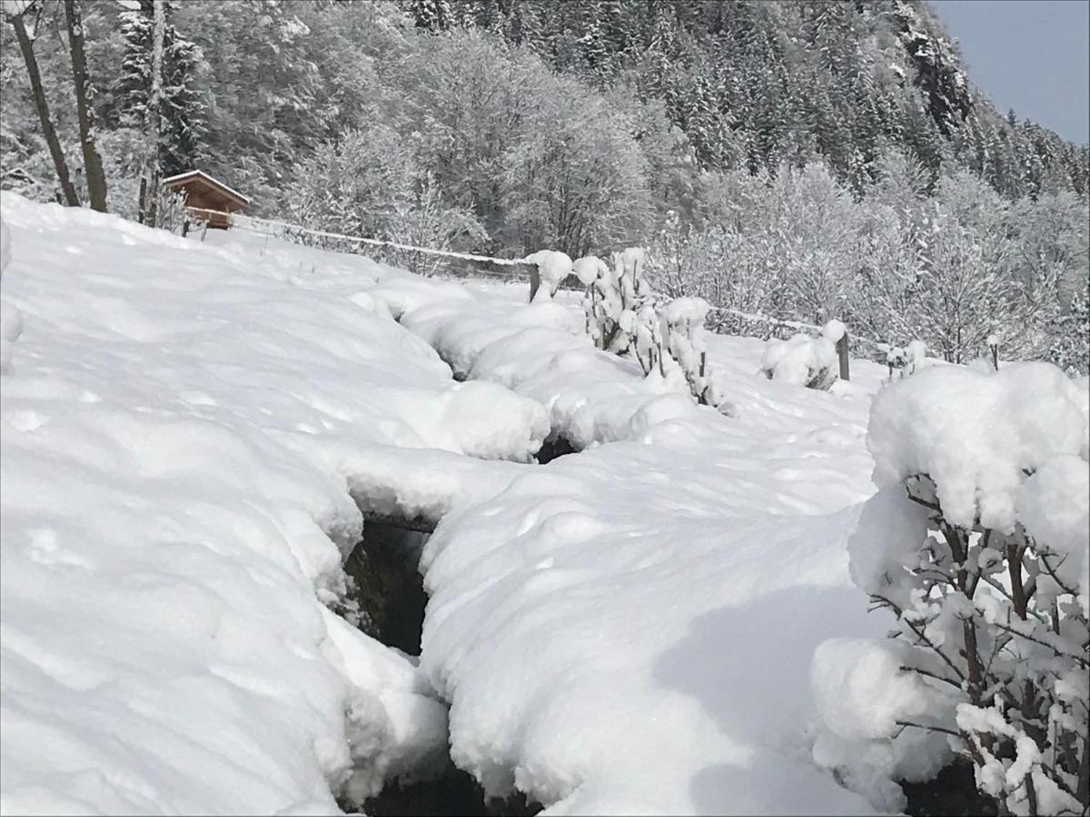 Villa Le Blanc Nordique Le Bouchet-Mont Charvin Esterno foto