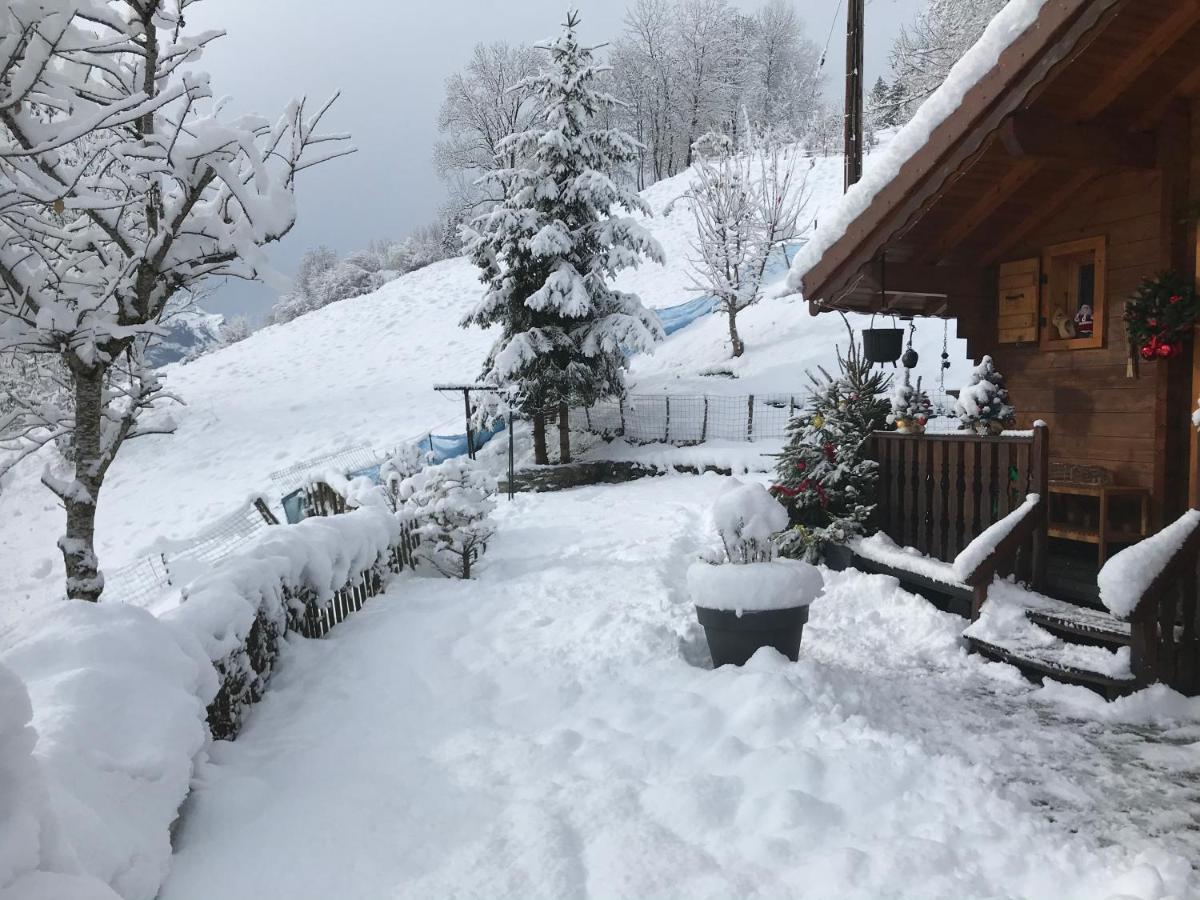 Villa Le Blanc Nordique Le Bouchet-Mont Charvin Esterno foto