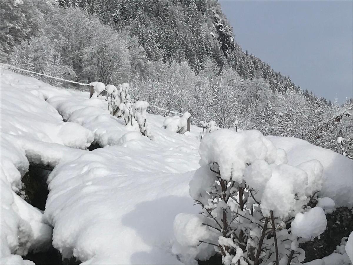 Villa Le Blanc Nordique Le Bouchet-Mont Charvin Esterno foto