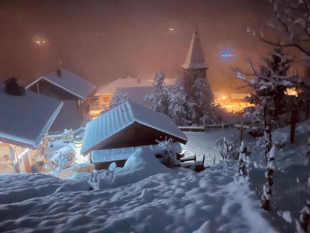 Villa Le Blanc Nordique Le Bouchet-Mont Charvin Esterno foto